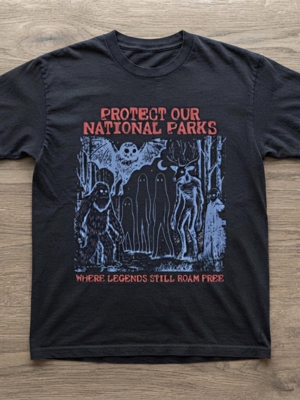 Gildan Black 'Protect Our National Parks' Graphic Tee with Red & Blue Print